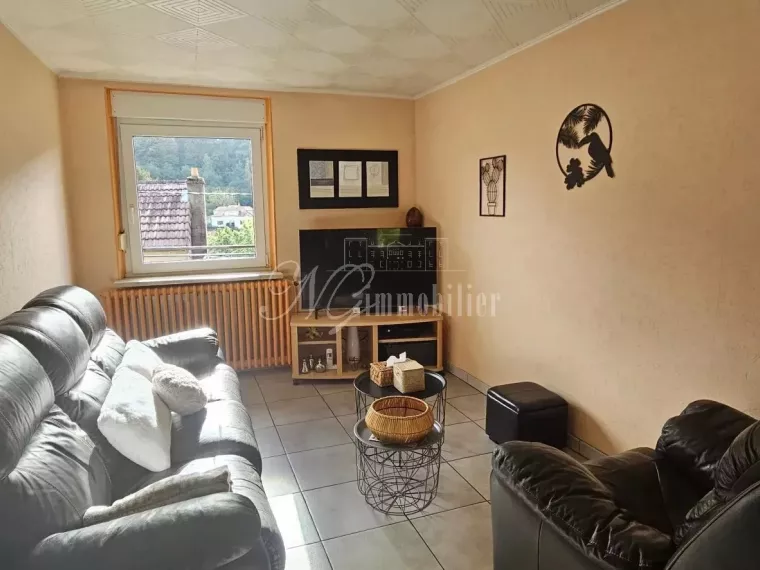 Maison Bi familiale ou Lot de 2 appartements de 95.79 m² et 93.72 m² avec terrasse et garage dans une rue calme d’Ottange (F-57)