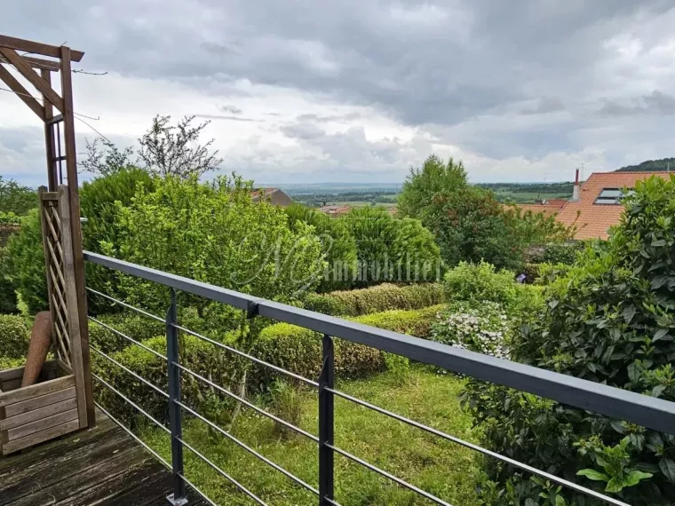 Magnifique maison de ville de 359 m² avec grand terrain et terrasses à Marange-Silvange (F-57)