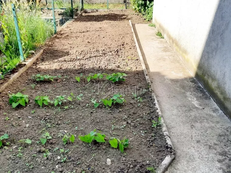 Maison  jumelée 2  chambres avec garage  de 45m² à Thionville